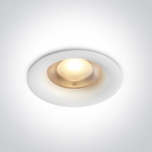 The COB IP65 Downlights CCT V