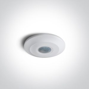 Ceiling-Mounted Motion Sensors