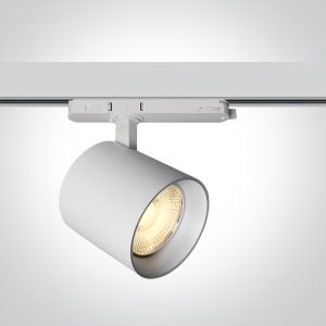 Large Cylinder Track Light PV & CCT V