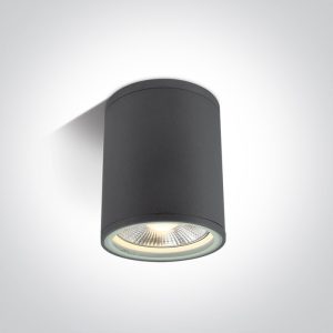 PAR30 Outdoor Cylinders
