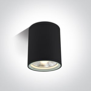 PAR30 Outdoor Cylinders
