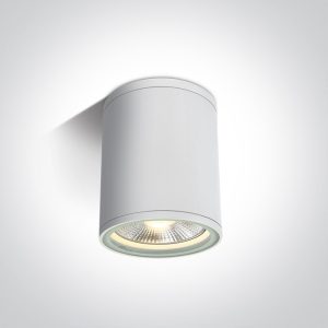 PAR30 Outdoor Cylinders