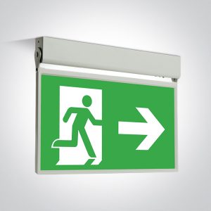 Emergency LED Wall & Ceiling