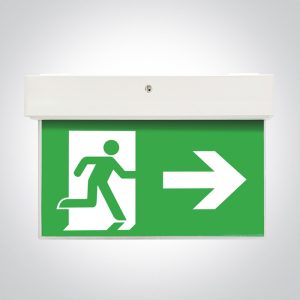 Emergency LED Wall & Ceiling